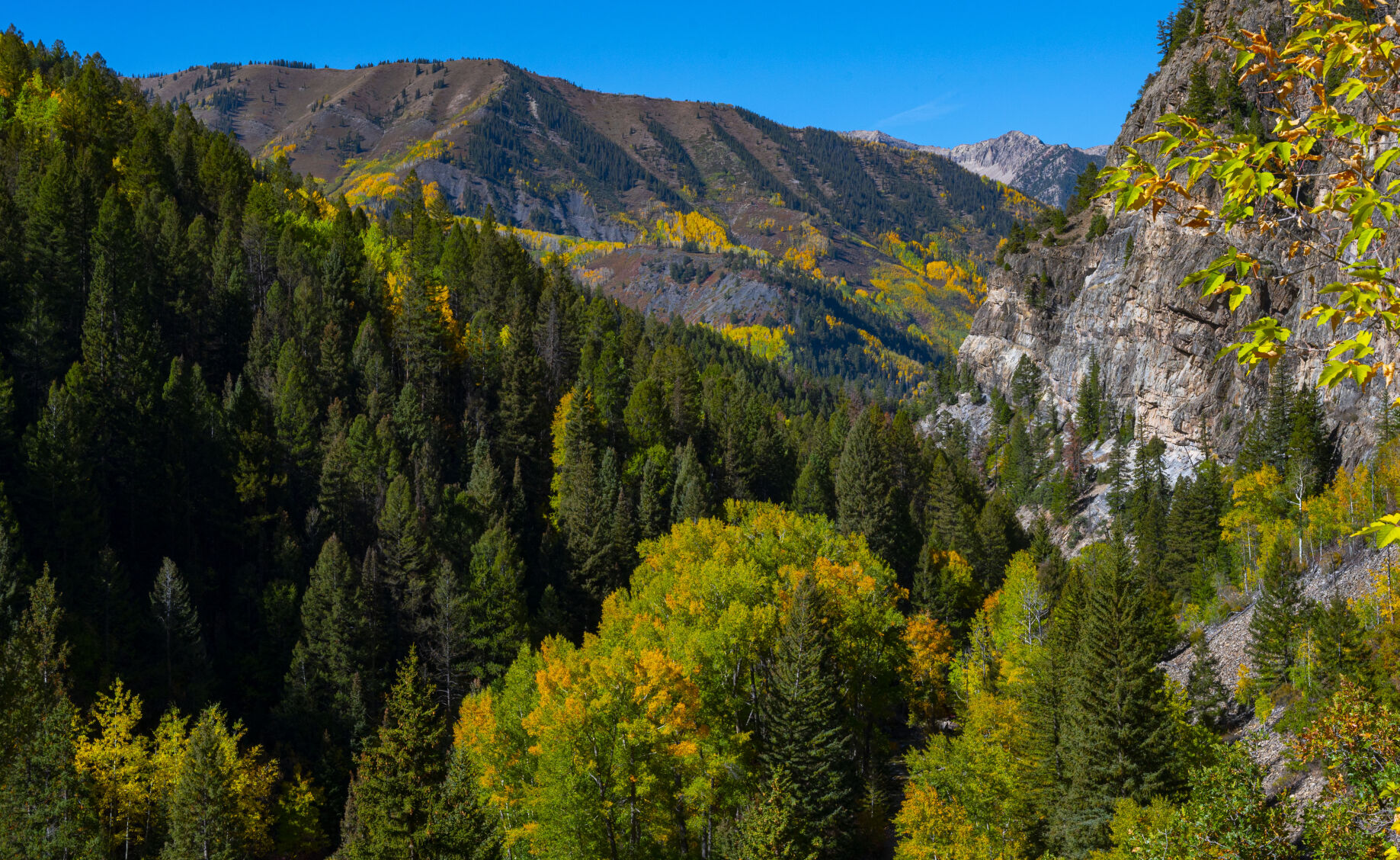 09_29_20 aspens0166.jpg